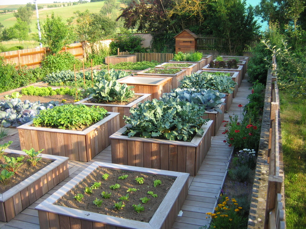Modern inredning av en mellanstor bakgård i delvis sol, med en köksträdgård och trädäck på sommaren