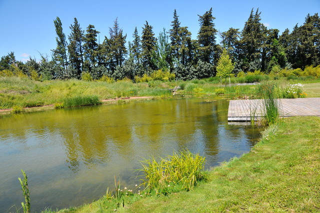 Bassins d'ornement de jardin Bouches-du-rhône- vert et sens