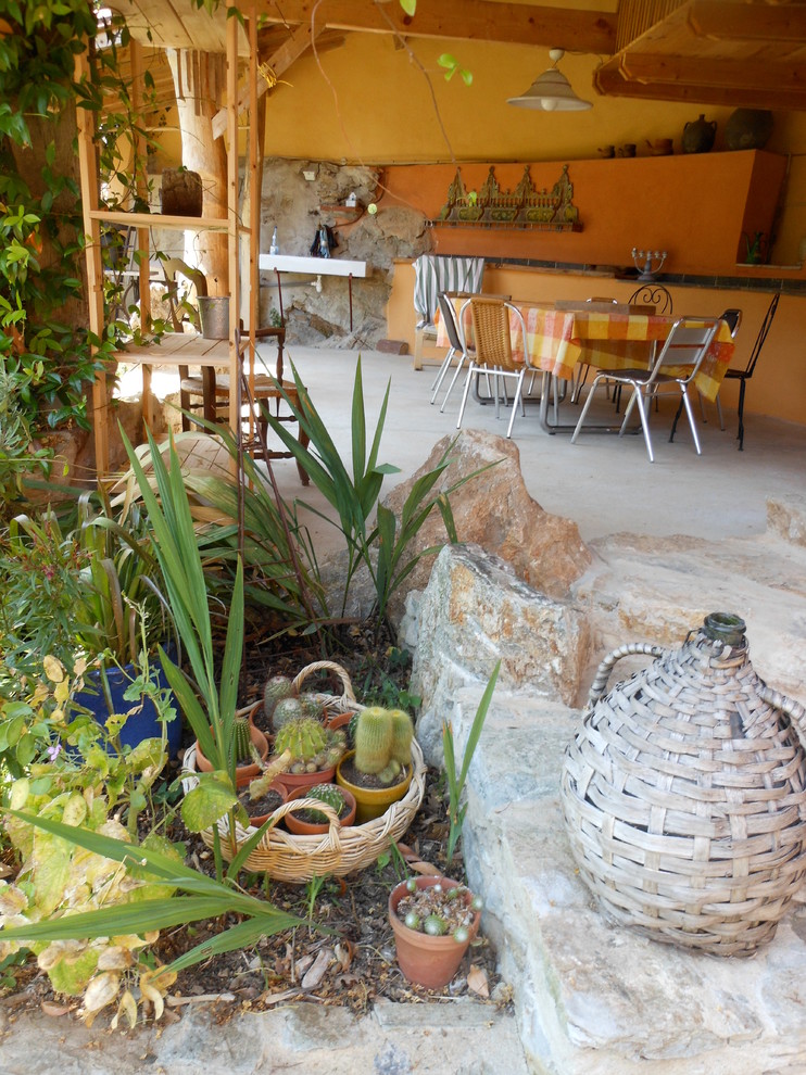 Cette image montre un jardin en pots arrière traditionnel de taille moyenne et l'été avec une exposition partiellement ombragée et des pavés en béton.