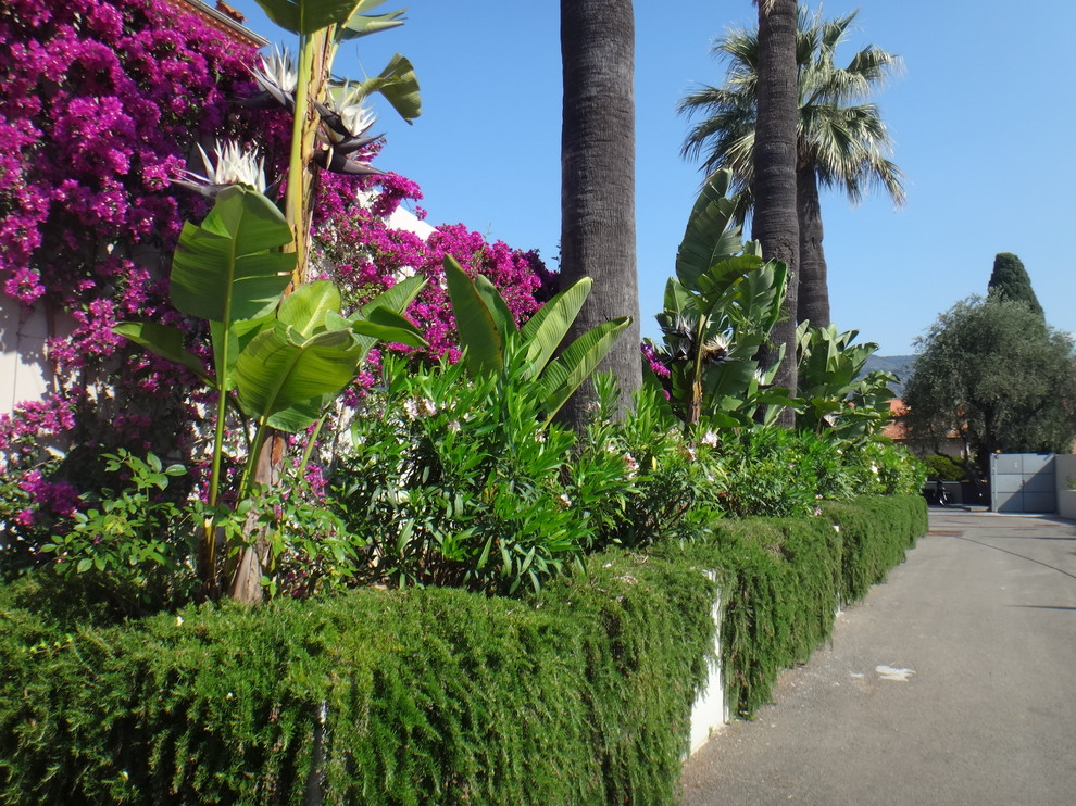 Mediterraner Garten in Nizza