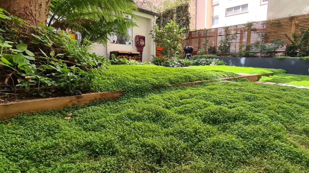 На фото: маленький участок и сад на заднем дворе в современном стиле с клумбами, полуденной тенью и настилом для на участке и в саду