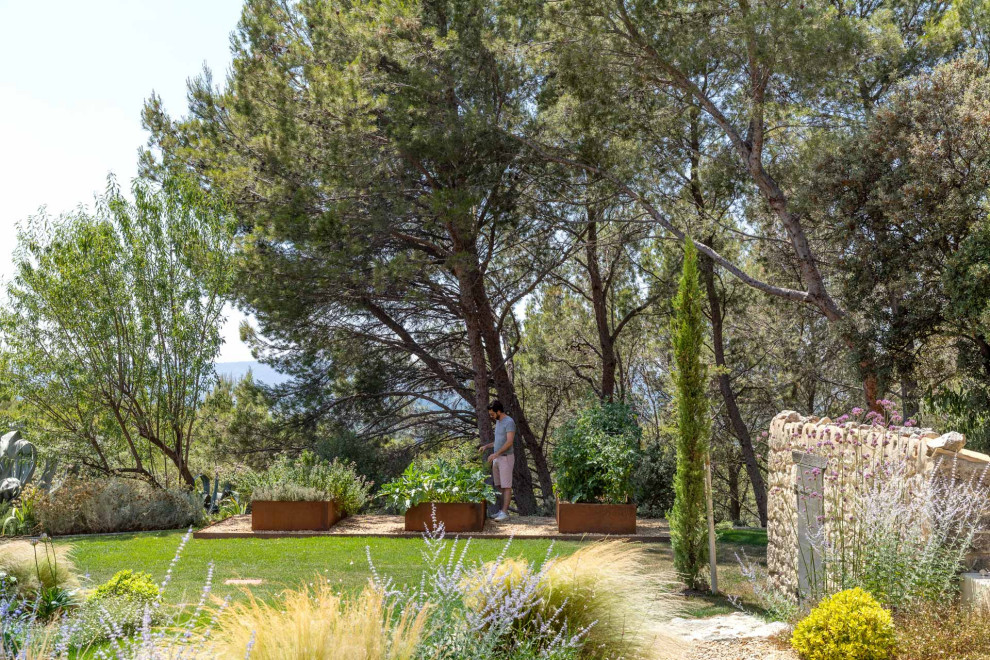 Пример оригинального дизайна: большой солнечный огород на участке на боковом дворе в средиземноморском стиле с хорошей освещенностью