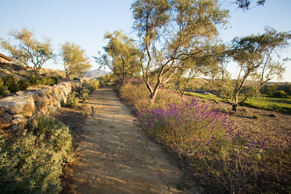 Esempio di un ampio giardino xeriscape mediterraneo esposto in pieno sole dietro casa in estate con un muro di contenimento