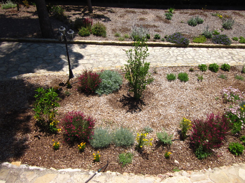 Esempio di un grande giardino mediterraneo esposto in pieno sole davanti casa in primavera con pacciame