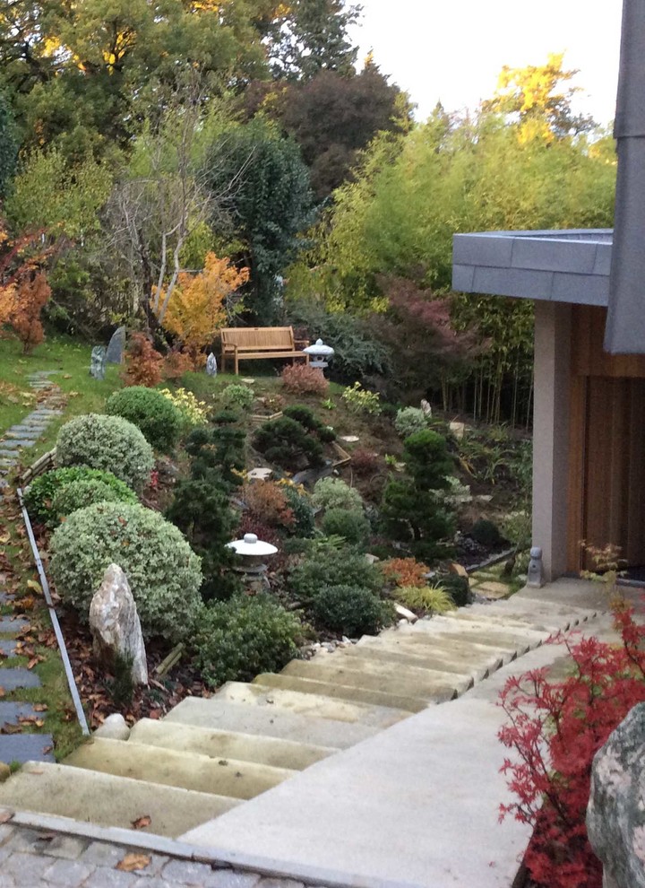 Réalisation d'un grand aménagement d'entrée ou allée de jardin asiatique l'automne avec une pente, une colline ou un talus.