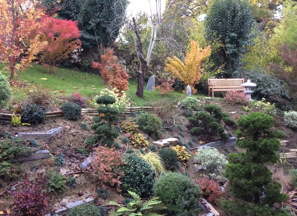 Inspiration pour un grand aménagement d'entrée ou allée de jardin asiatique l'automne avec une pente, une colline ou un talus.