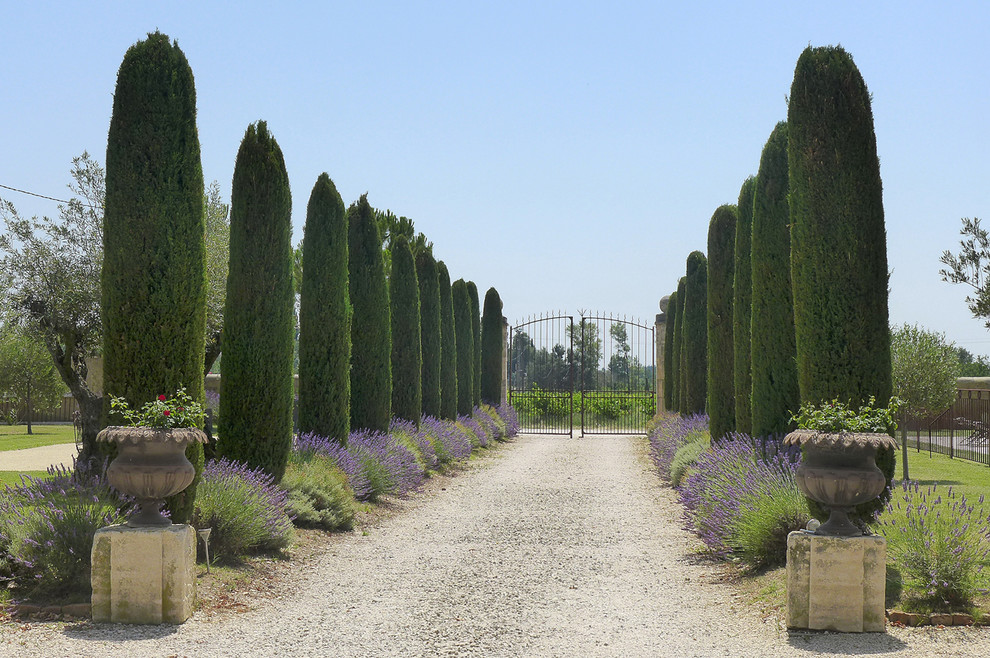 Großer Mediterraner Garten im Sommer mit Auffahrt und direkter Sonneneinstrahlung in Grenoble