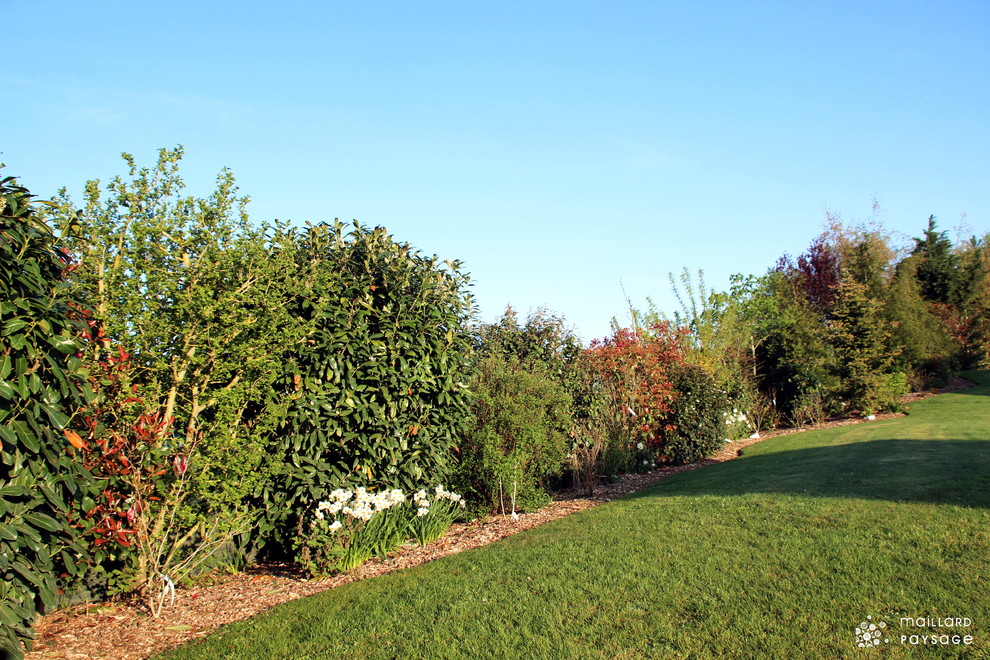 Foto di un grande giardino country esposto in pieno sole in estate