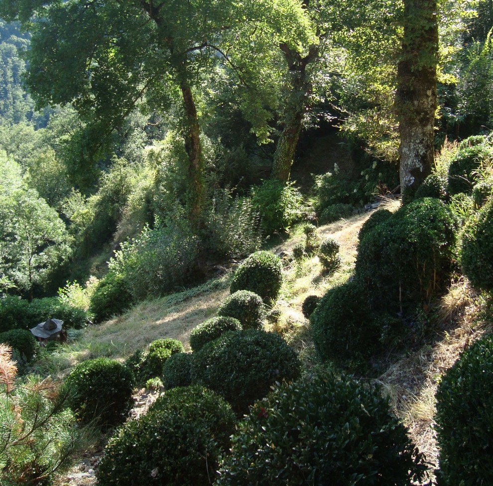 Modelo de jardín de estilo de casa de campo extra grande en verano en ladera con exposición parcial al sol