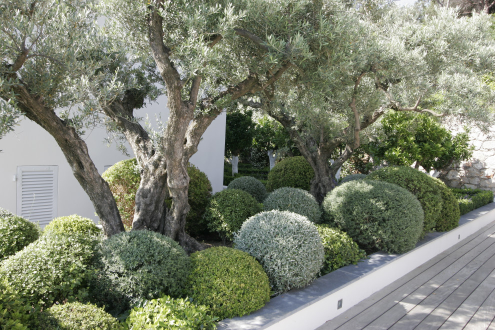 マルセイユにある中くらいなコンテンポラリースタイルのおしゃれな屋上庭園 (庭石、日向、石フェンス) の写真