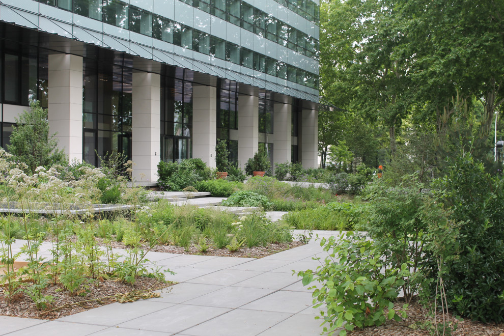 Esempio di un grande giardino minimal esposto in pieno sole davanti casa in estate con pavimentazioni in cemento