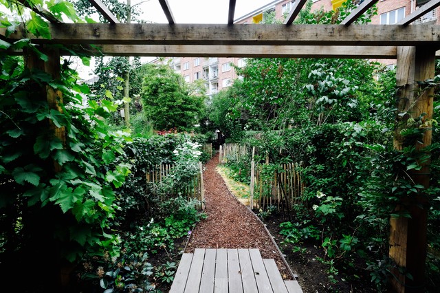Jardin de 100m2 / Potager en ville - Country - Garden - Brussels - by Urban  Garden designer | Houzz