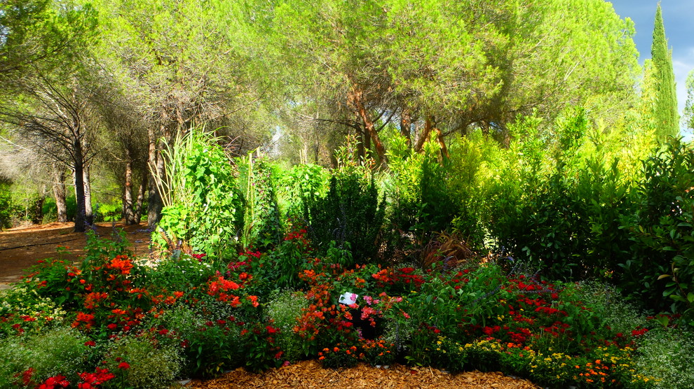 Idées déco pour un jardin contemporain.