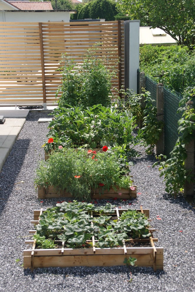 Idee per un piccolo giardino minimal in ombra nel cortile laterale in estate con ghiaia