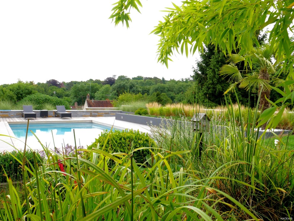 Idées déco pour un jardin arrière moderne de taille moyenne avec une exposition ensoleillée et une terrasse en bois.