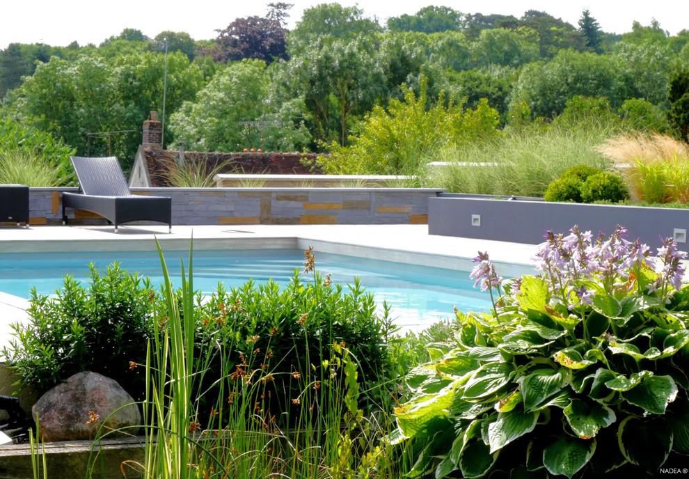 Foto di un giardino moderno esposto in pieno sole di medie dimensioni e dietro casa con pedane