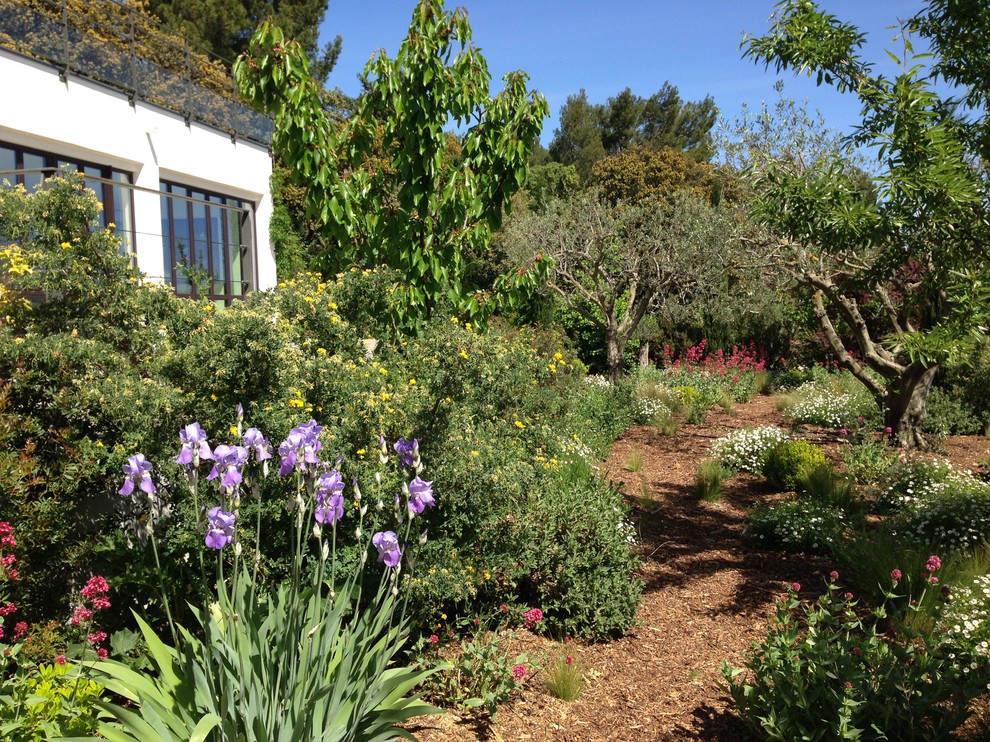 Inspiration pour un jardin arrière méditerranéen de taille moyenne et au printemps avec une exposition ensoleillée et un paillis.