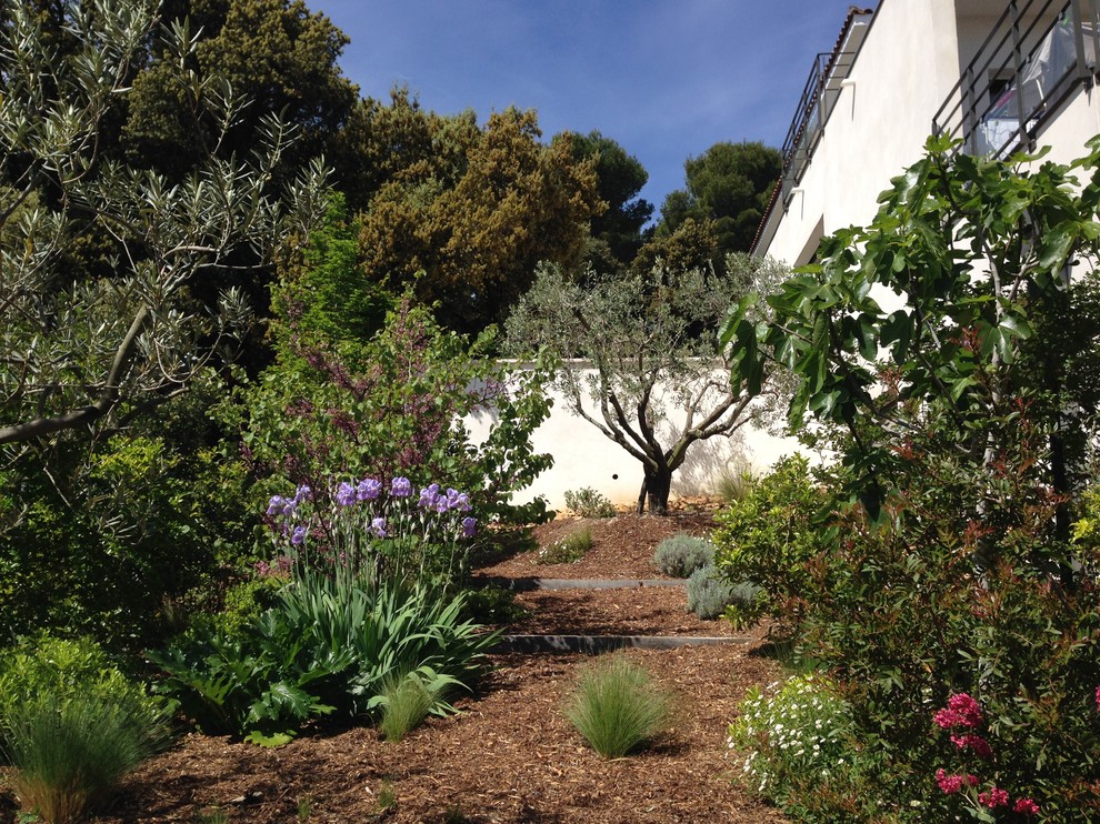 Idées déco pour un jardin méditerranéen de taille moyenne et au printemps avec une exposition ensoleillée, une pente, une colline ou un talus et un paillis.