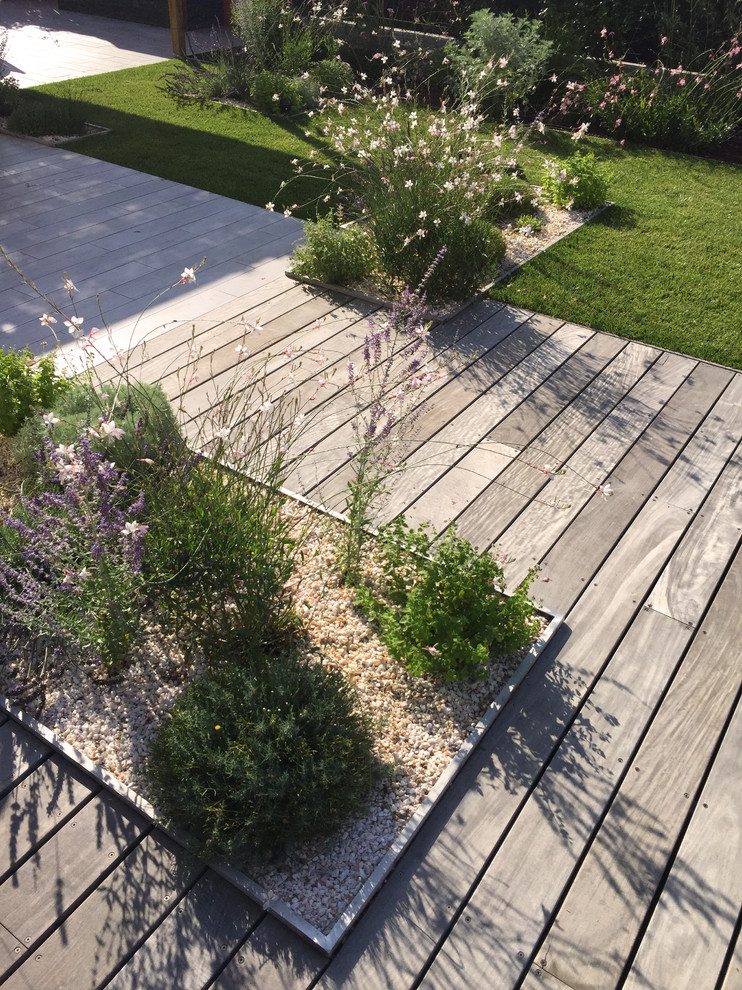 Ejemplo de jardín contemporáneo pequeño en verano en patio trasero con exposición total al sol y gravilla