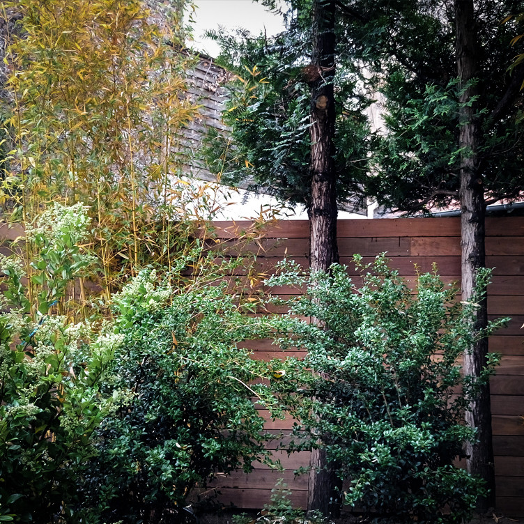 Kleiner Moderner Garten hinter dem Haus mit direkter Sonneneinstrahlung und Dielen in Paris
