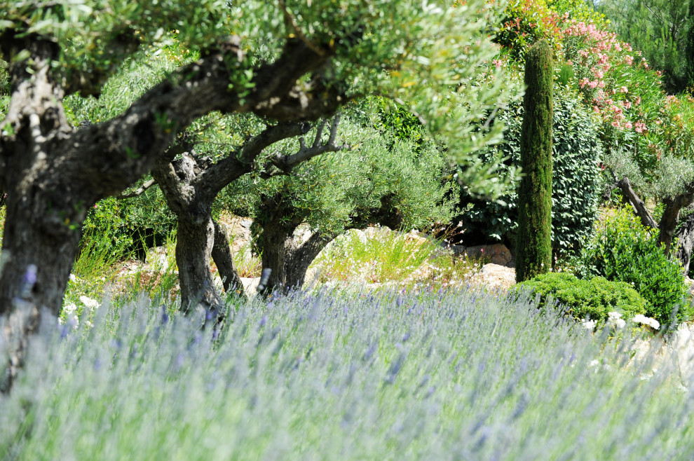 Ispirazione per un grande giardino mediterraneo esposto in pieno sole davanti casa in primavera con recinzione in pietra
