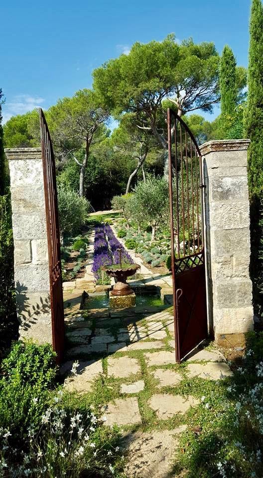 Inspiration for a mediterranean garden in Marseille.