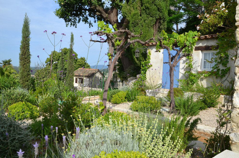 Mediterranean garden in Nice.