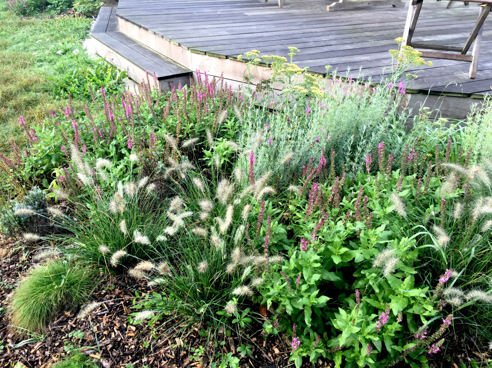 На фото: большой солнечный, весенний засухоустойчивый сад на заднем дворе в стиле шебби-шик с клумбами, хорошей освещенностью и настилом