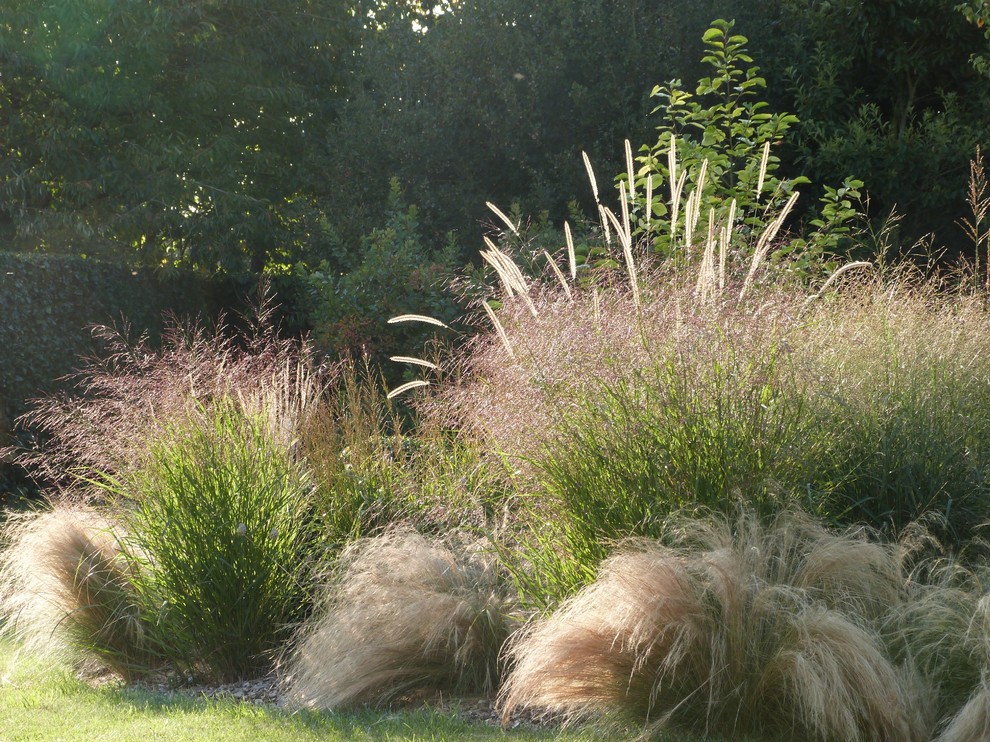 Moderner Garten in Rennes