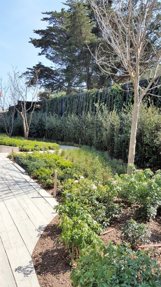 Aménagement d'un grand jardin arrière méditerranéen avec une exposition ensoleillée et une terrasse en bois.