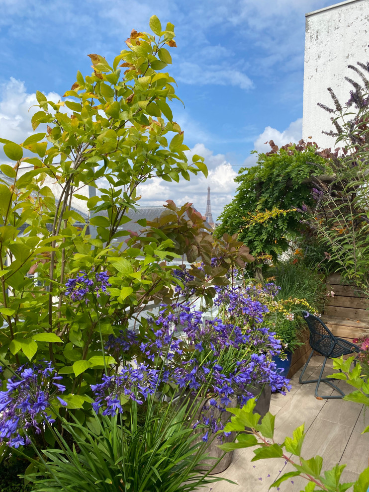 Immagine di un piccolo giardino design esposto in pieno sole sul tetto in estate con un giardino in vaso e pedane