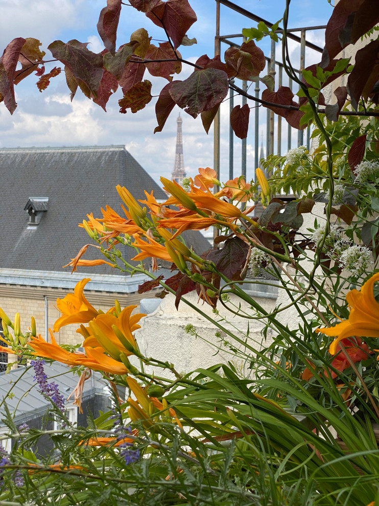 Kleiner Moderner Dachgarten im Sommer mit Kübelpflanzen, direkter Sonneneinstrahlung und Dielen in Paris
