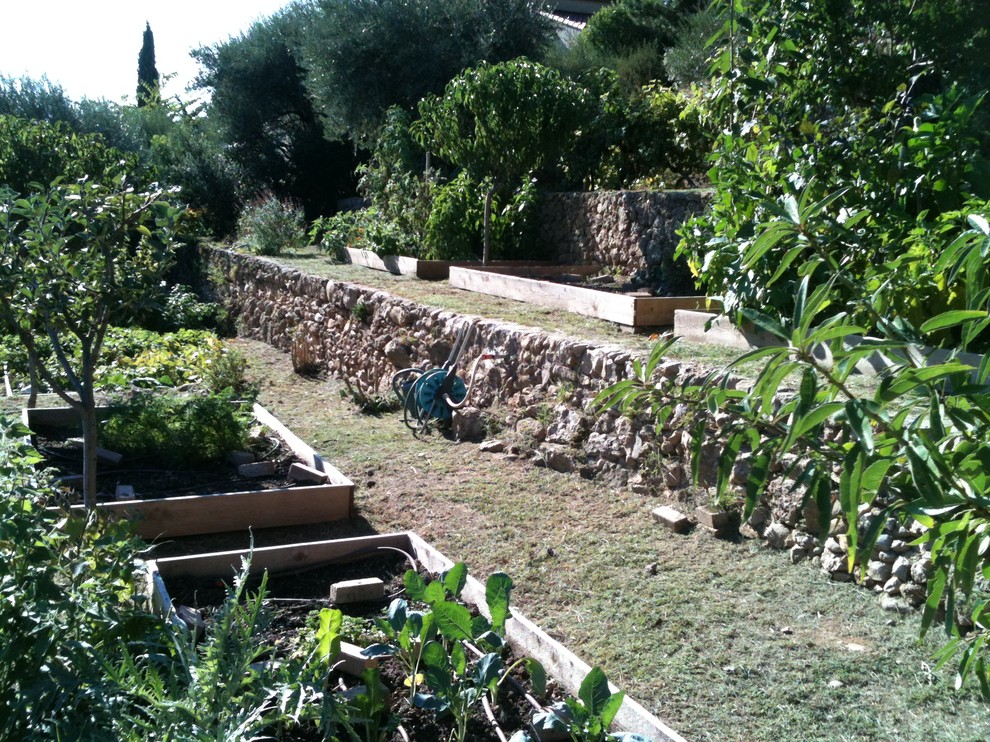 Inspiration pour un jardin méditerranéen.