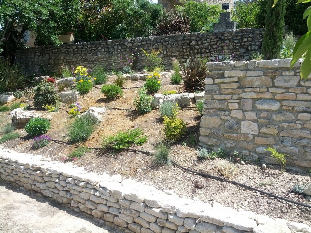 Cette photo montre un jardin méditerranéen avec une exposition ensoleillée.