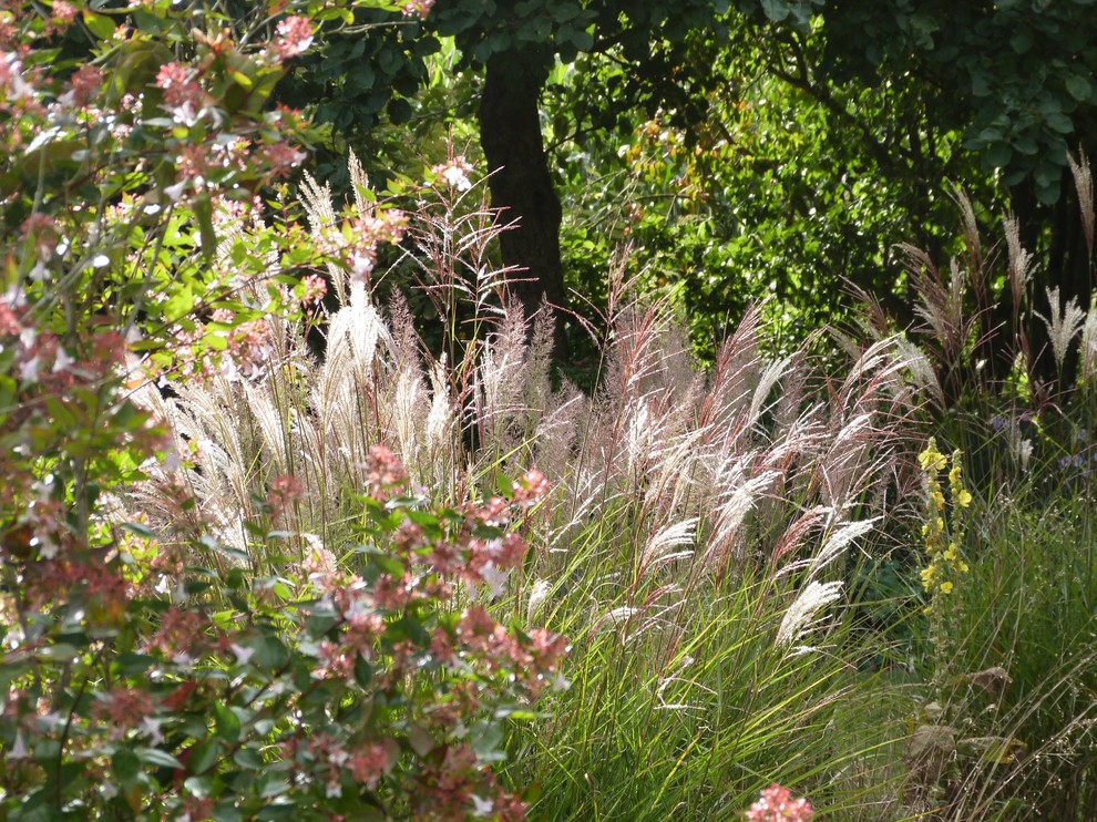 レンヌにあるコンテンポラリースタイルのおしゃれな庭の写真