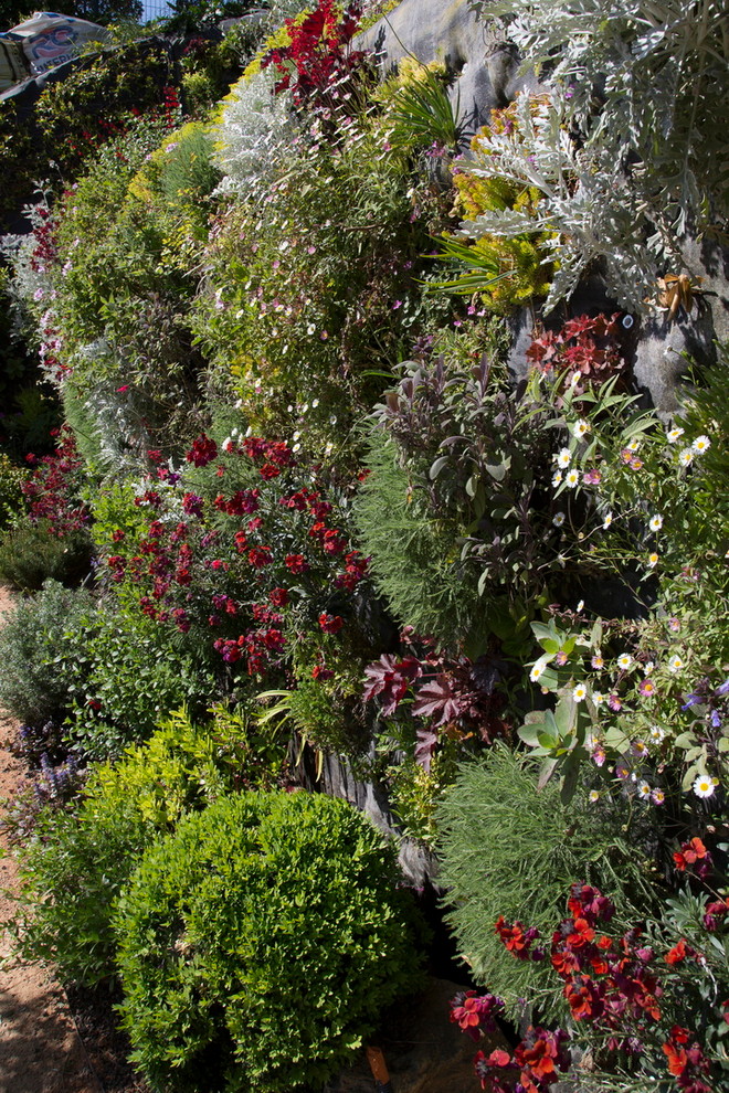 Medelhavsstil inredning av en trädgård i slänt, med en vertikal trädgård