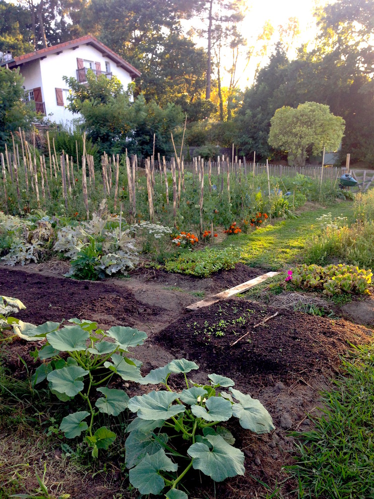 Ispirazione per un orto in giardino country esposto in pieno sole di medie dimensioni in primavera