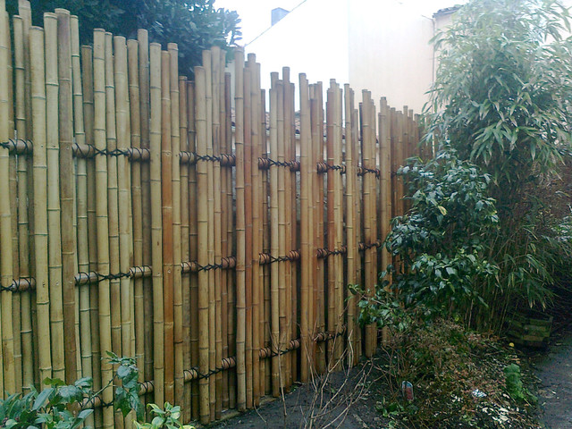 Palissade en bambou TEPPO, barrière de "tubes" pour jardin japonais -  Asiatique - Jardin - Nantes - par Atlanti Gaki - Décors en bambou | Houzz