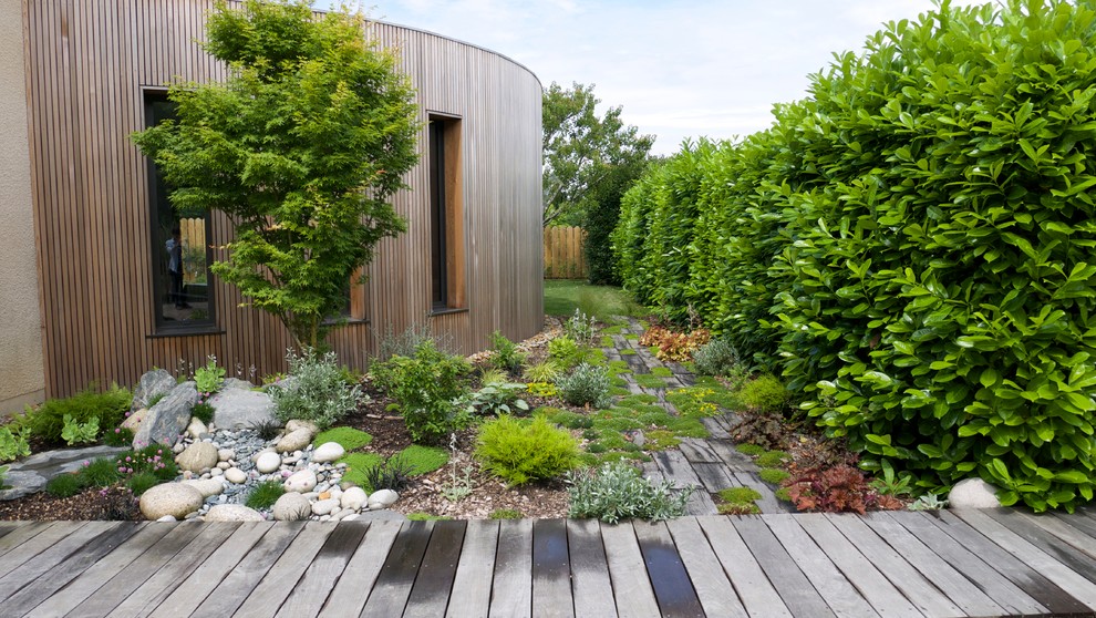Bild på en mellanstor funkis trädgård, med en trädgårdsgång och trädäck