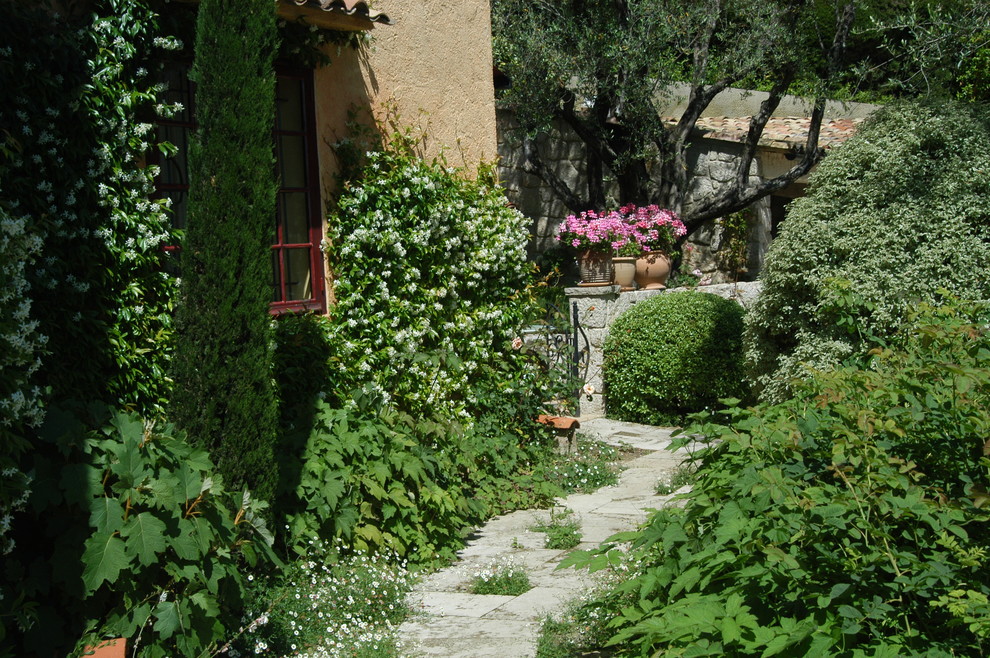 ニースにある地中海スタイルのおしゃれな裏庭の写真