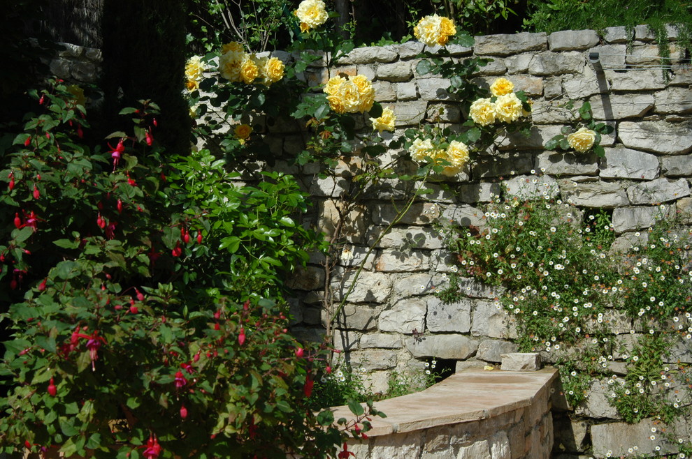 ニースにある地中海スタイルのおしゃれな庭の写真