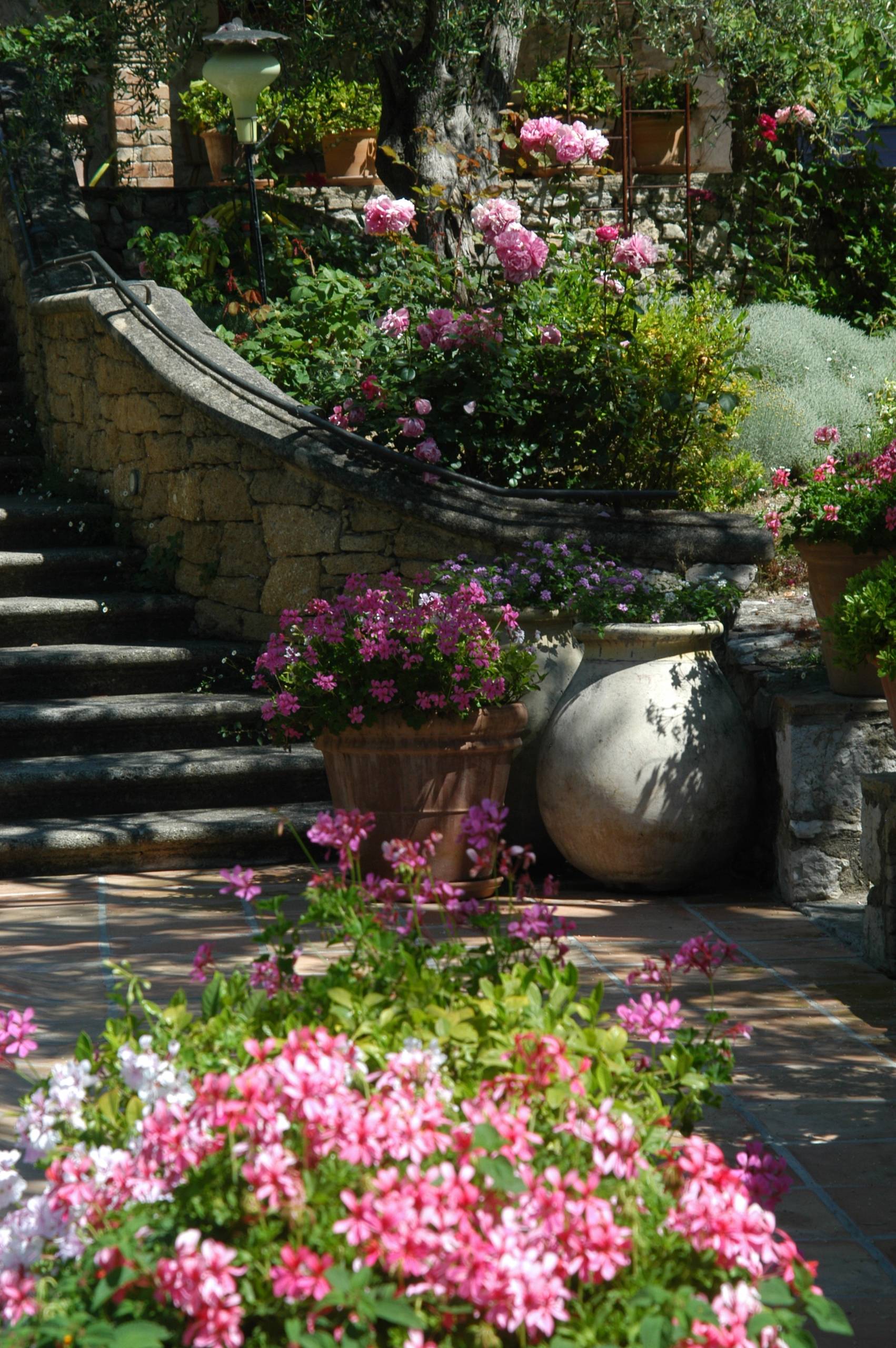 Сад в стиле Прованс на своем дачном участке: ландшафтный дизайн и оформление