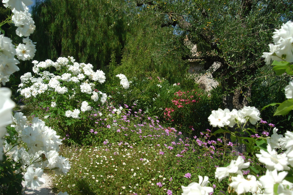 На фото: участок и сад в средиземноморском стиле