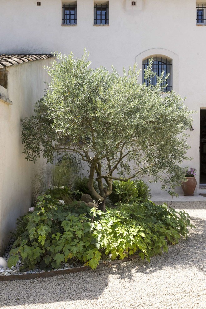 Пример оригинального дизайна: участок и сад в средиземноморском стиле
