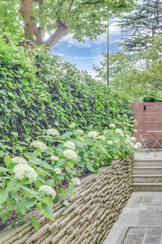 Kleiner, Halbschattiger, Geometrischer Moderner Garten im Frühling mit Steinzaun in Paris
