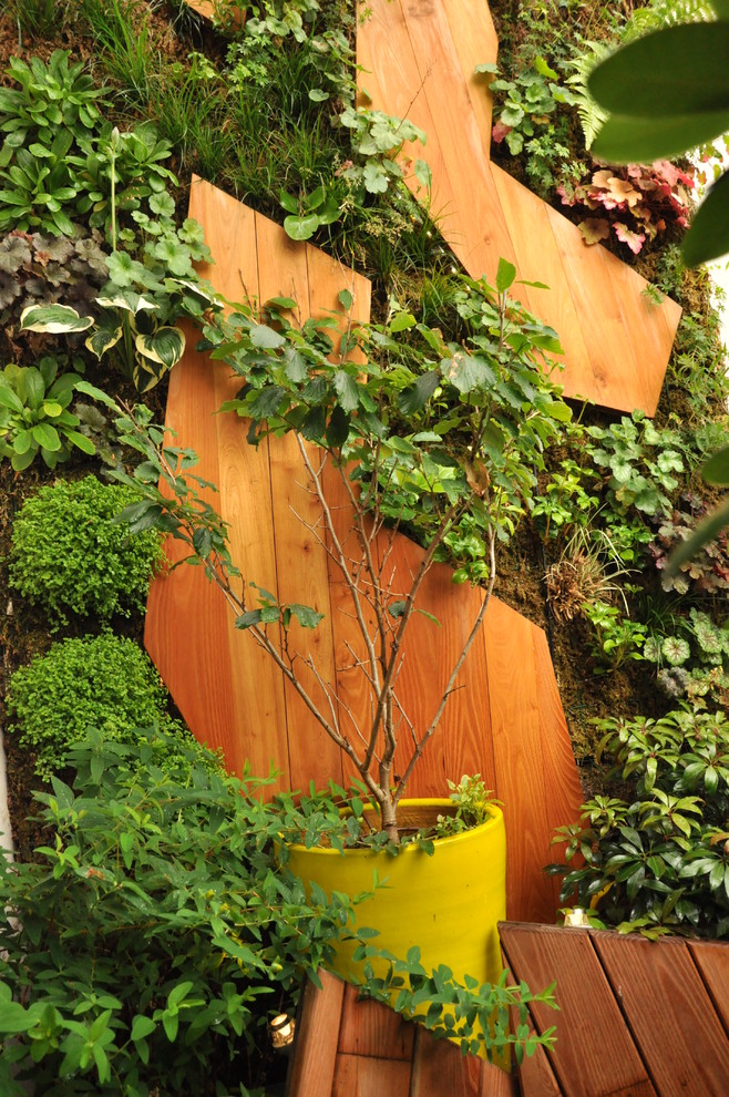 Idée de décoration pour un jardin vertical design de taille moyenne avec une terrasse en bois.