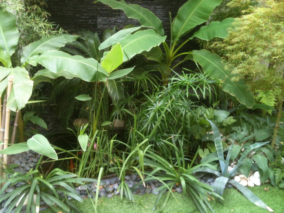 Bild på en tropisk trädgård