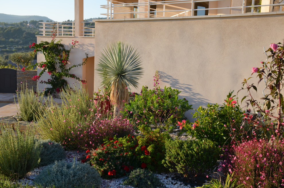 Diseño de jardín mediterráneo pequeño en patio delantero con exposición total al sol y gravilla