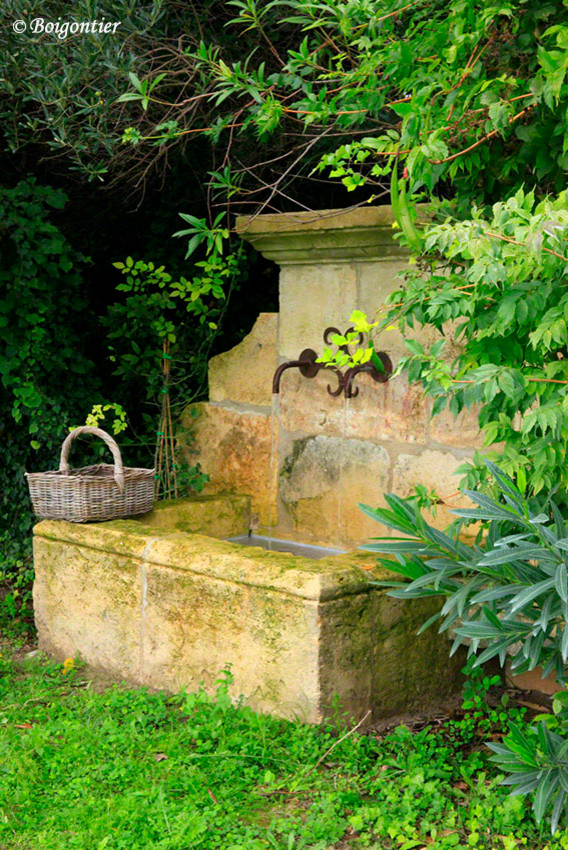 マルセイユにあるカントリー風のおしゃれな庭の噴水の写真