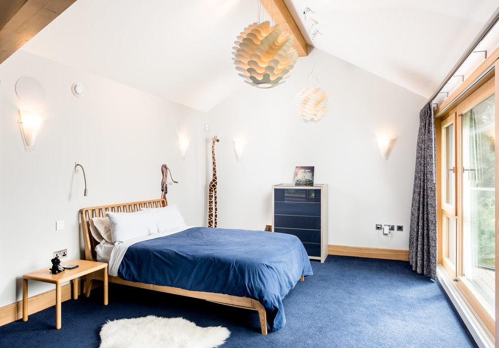 Idée de décoration pour une chambre d'enfant de 4 à 10 ans tradition de taille moyenne avec un mur blanc, moquette et un sol bleu.